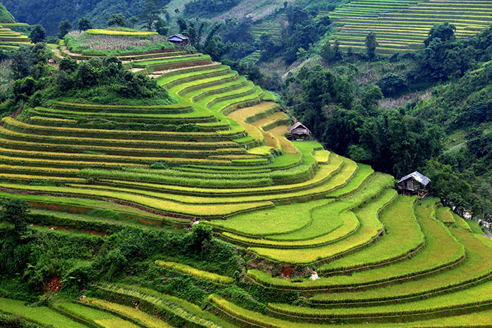 top 10 incontournables voyage au vietnam nord vietnam